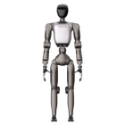 Robot umanoide Booster T2 Professional P3