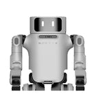 Noetix Dora universeller humanoider Roboter
