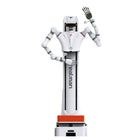 Realman DAP-D-65 Piattaforma di sviluppo di IA incarnata a doppio braccio