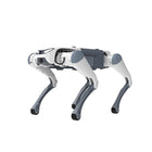 Deep Robotics Lite3: cane robot quadrupede base