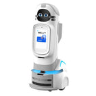 Robot de compañía inteligente UBTECH Welli